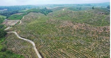 Bencana Ekologis “Terencana”, Bukan Bencana Alam Biasa Bencana Ekologis “Terencana”, Bukan Bencana Alam Biasa