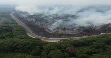 Badai Peninjauan Kembali Citizen Lawsuit: Quo Vadis Peladang Masyarakat Adat Dayak?