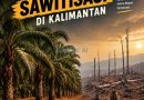 Agar Kisah Pilu Karhutla Berakhir: ”Stop Sawitisasi!”